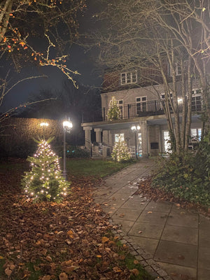 Juletræer Opsat - Græs & Grus