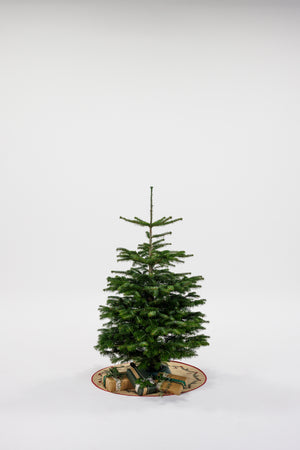 Juletræ - Nordmannsgran