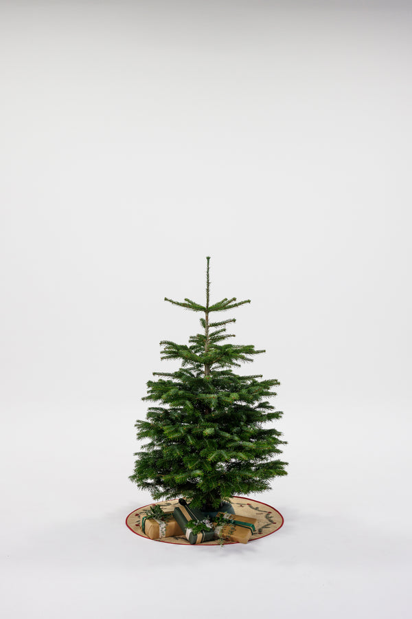 Juletræ - Nordmannsgran