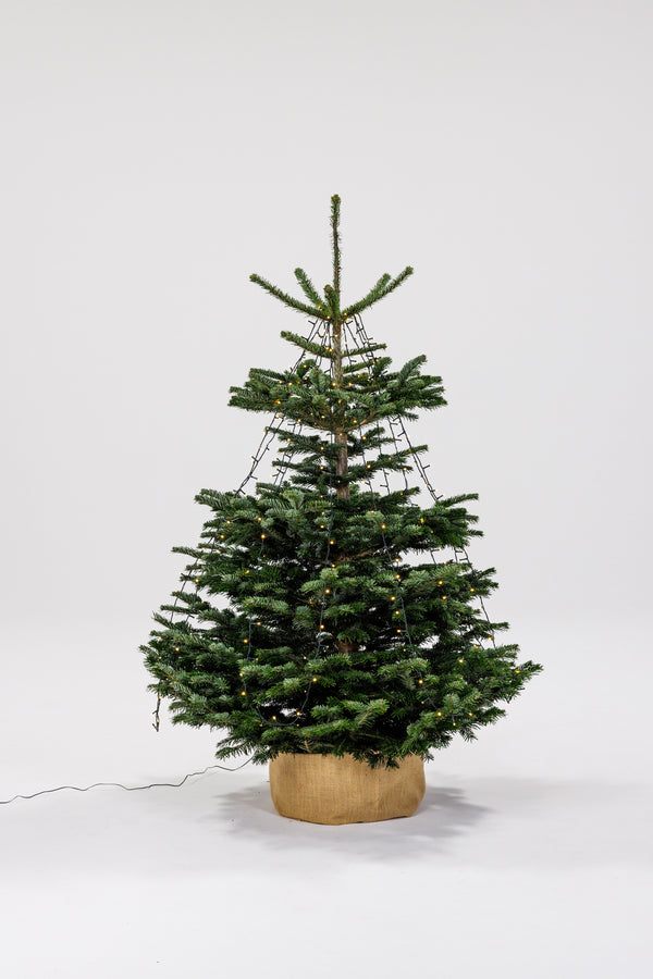 Juletræ i stof-beklæft balje med lyskæder