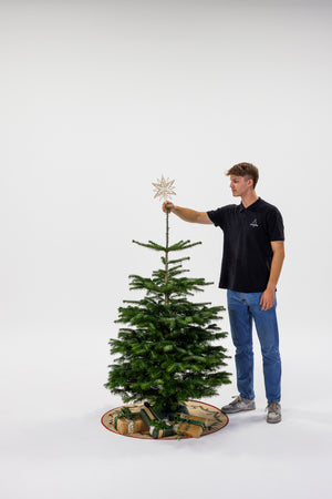 Dreng står og sætter stjerne på juletræ