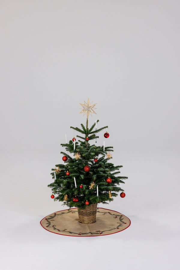 Lille pyntet juletræ i potte