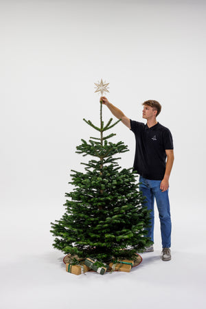 Dreng står og sætter stjerne på juletræ