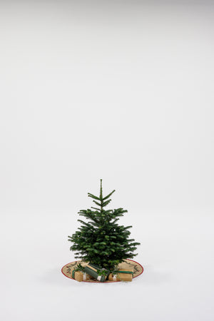 Juletræ - Nordmannsgran