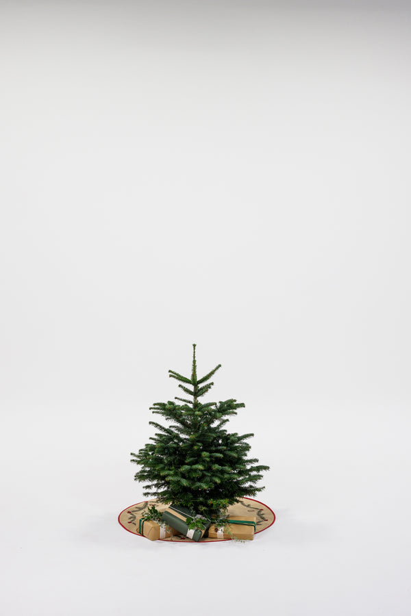 Juletræ - Nordmannsgran